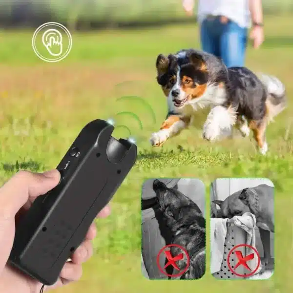 Repulsif a ultrasons pour chien