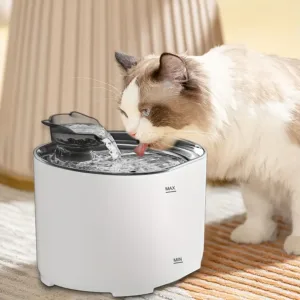 fontaine à eau pour chat avec filtre et design silencieux – bol d’eau automatique pour animaux domestiques au Maroc