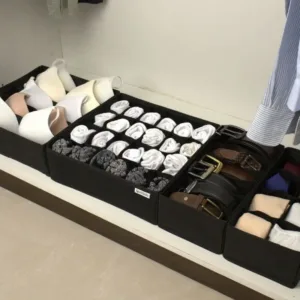 Organisateur tiroir sous vêtements